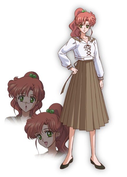 20 aniversario de Sailor Moon セーラームーン 20 周年